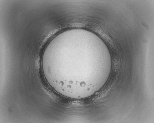 X0000115800064200912041542