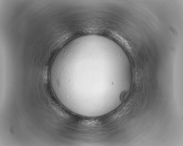 X0000115800065200912041542