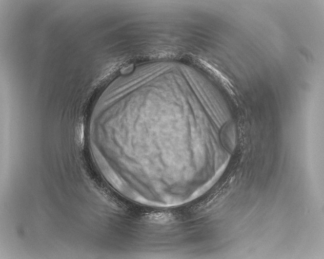 X0000115800067200912041542