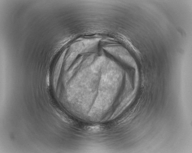 X0000115800068200912041542