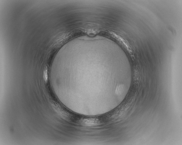 X0000115800069200912041542