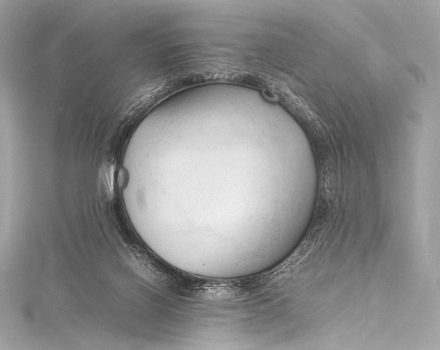 X0000115800070200912041542