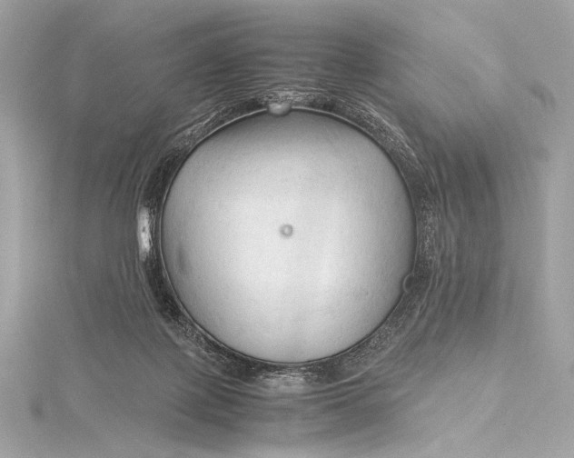 X0000115800075200912041542