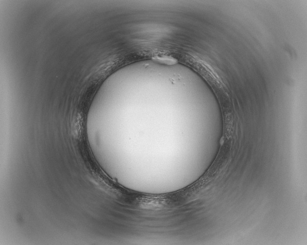 X0000115800077200912041542