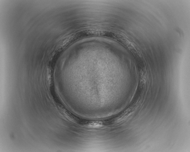 X0000115800080200912041542