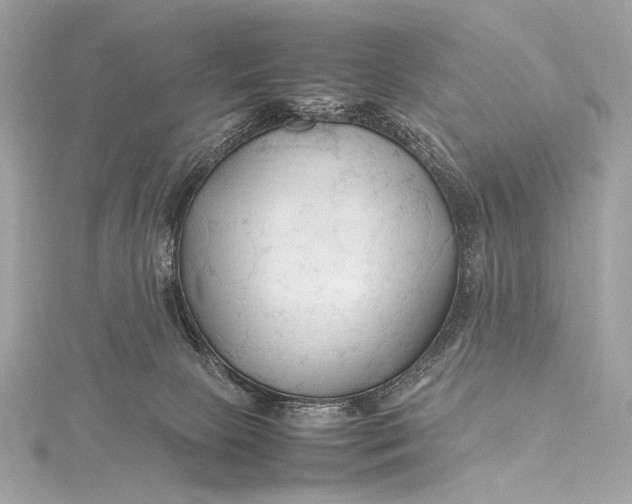 X0000115800081200912041542