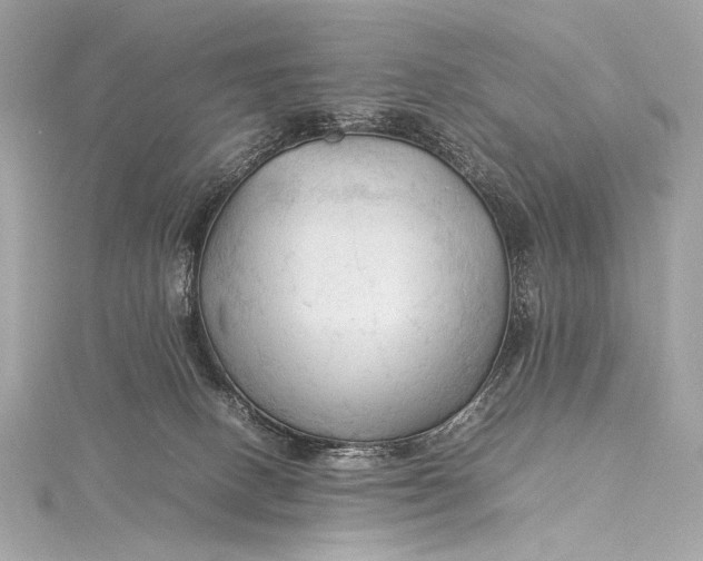 X0000115800082200912041542