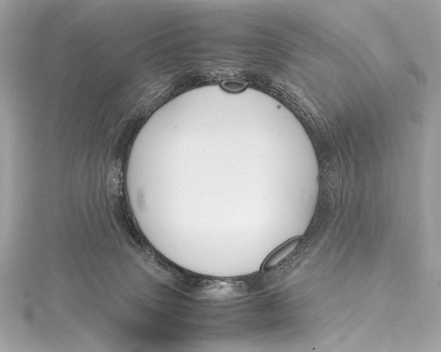 X0000115800083200912041542