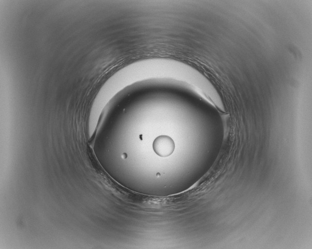 X0000115800084200912041542