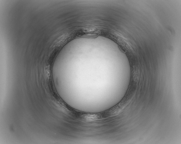 X0000115800085200912041542