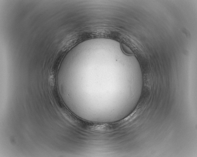 X0000115800086200912041542