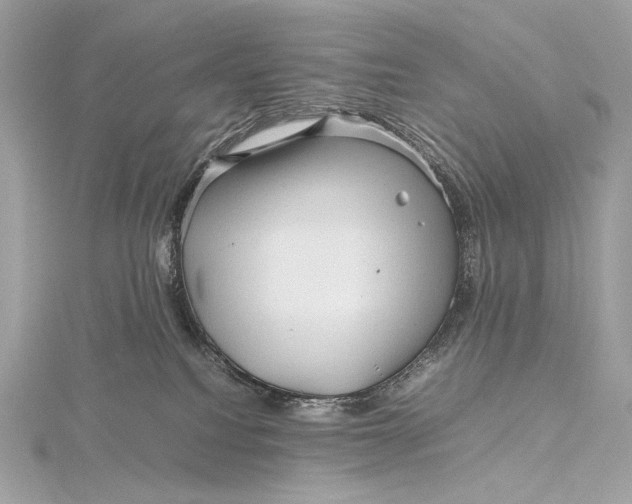 X0000115800088200912041542