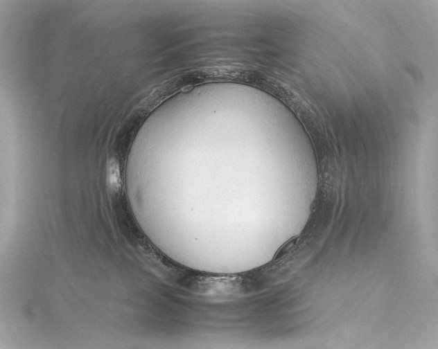 X0000115800089200912041542