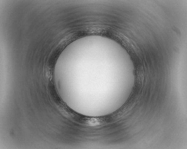 X0000115800091200912041542