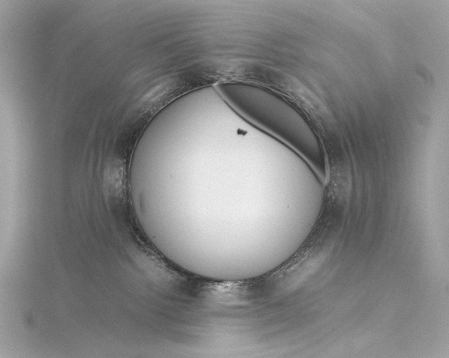 X0000115800092200912041542