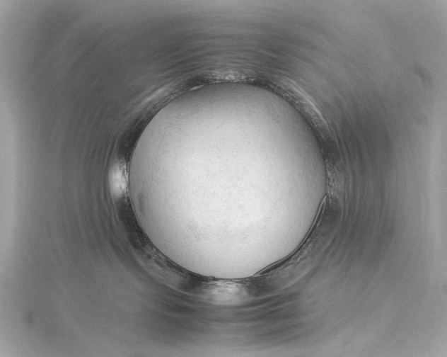 X0000115800095200912041542