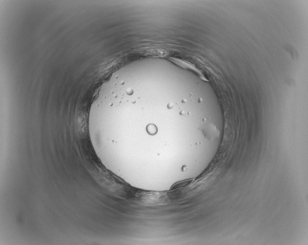 X0000115800096200912041542