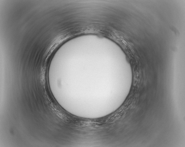 X0000115800098200912041542