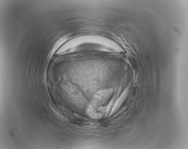 X0000115800099200912041542