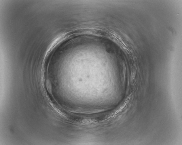 X0000115800101200912041542