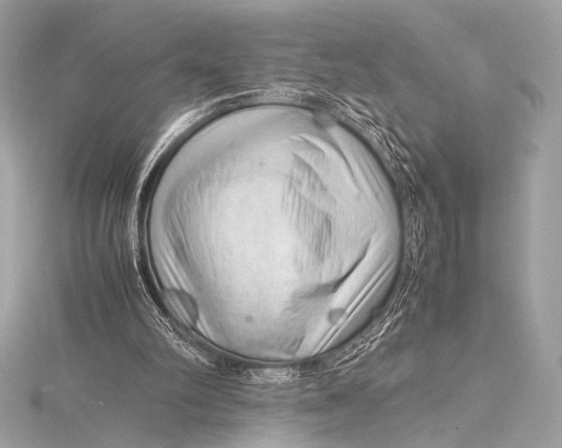 X0000115800102200912041542