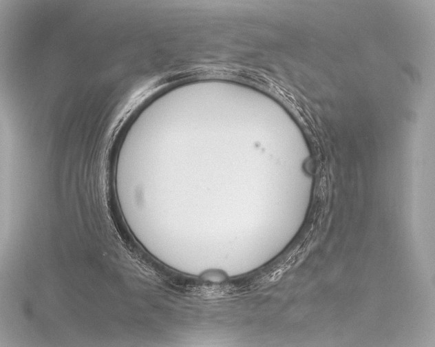 X0000115800103200912041542