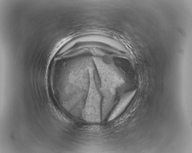 X0000115800104200912041542