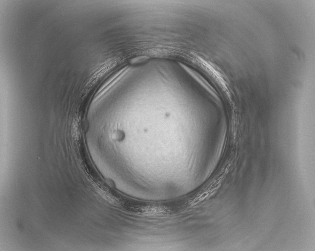 X0000115800105200912041542