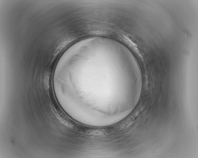 X0000115800106200912041542