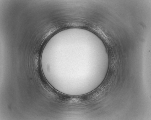 X0000115800111200912041541