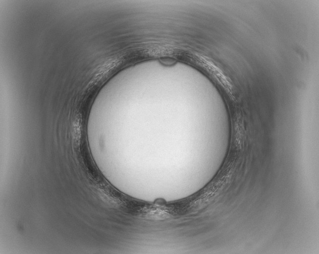 X0000115800113200912041541