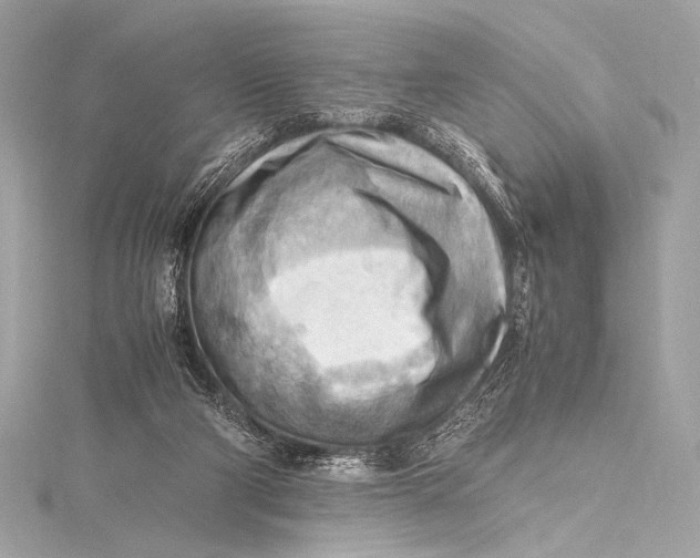 X0000115800114200912041541