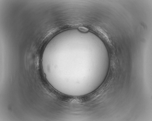 X0000115800115200912041541