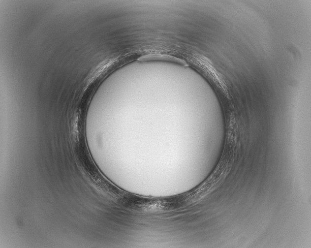 X0000115800116200912041541