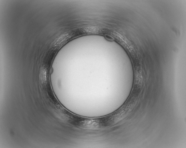 X0000115800117200912041541