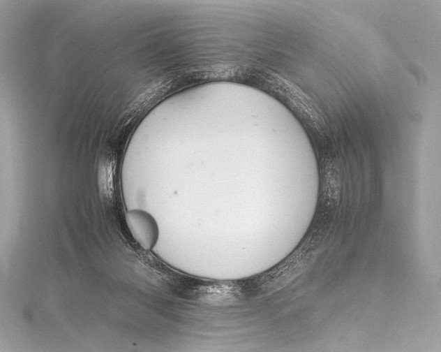 X0000115800118200912041541