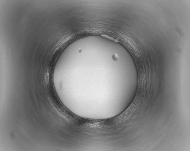 X0000115800120200912041541