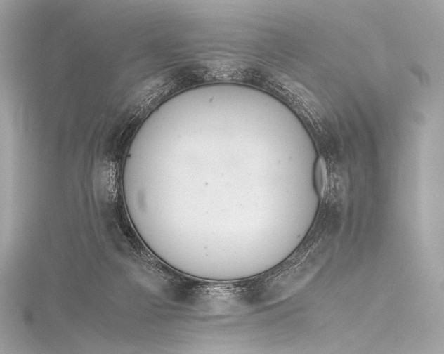 X0000115800121200912041541