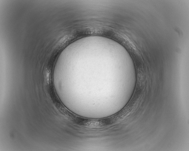 X0000115800123200912041541