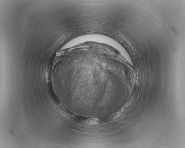 X0000115800124200912041541