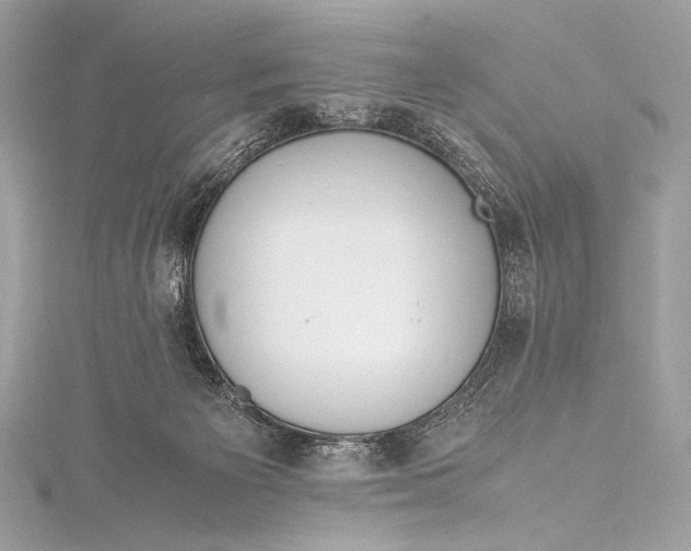 X0000115800125200912041541