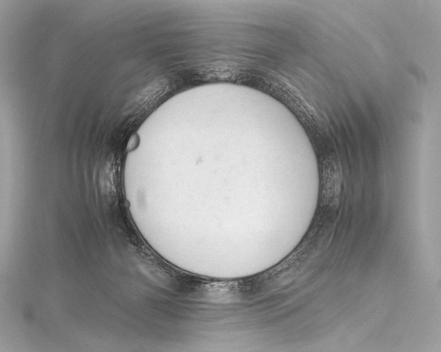 X0000115800126200912041541