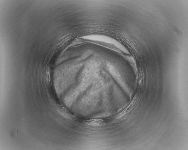 X0000115800128200912041541