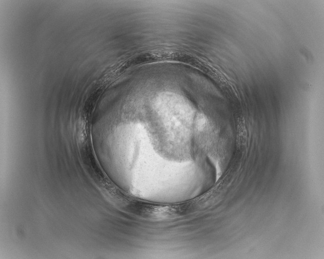 X0000115800130200912041541