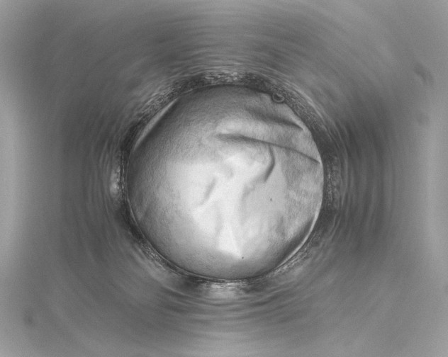 X0000115800134200912041541