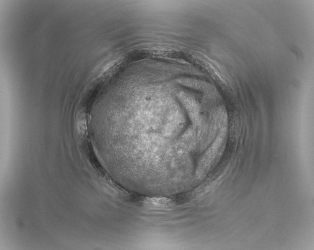 X0000115800137200912041541