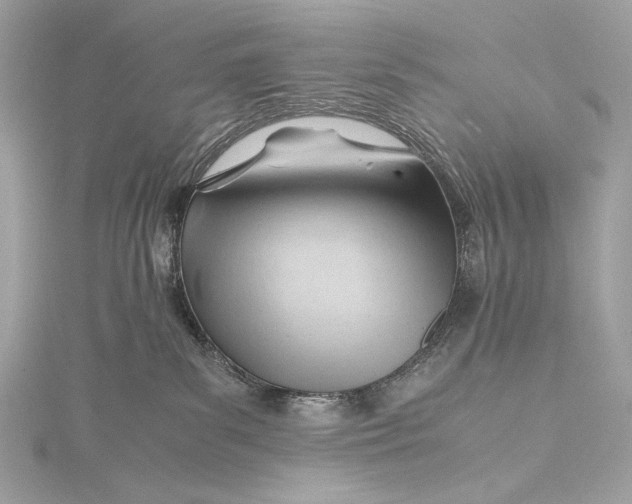 X0000115800139200912041541