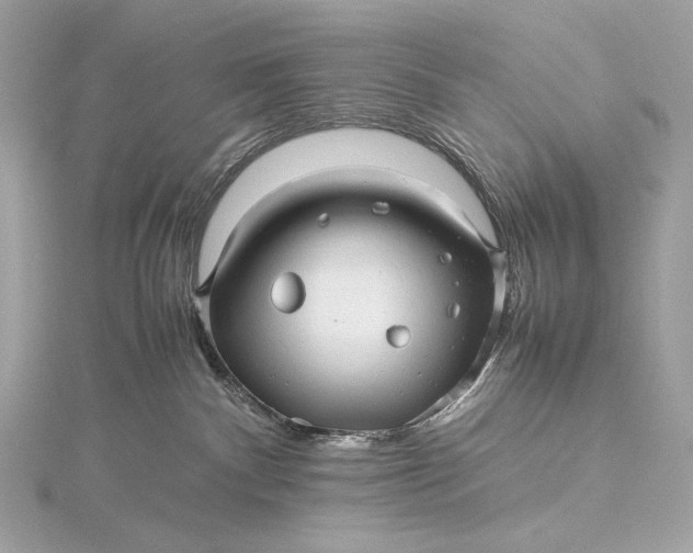 X0000115800140200912041541