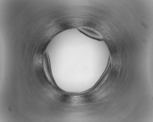 X0000115800141200912041541