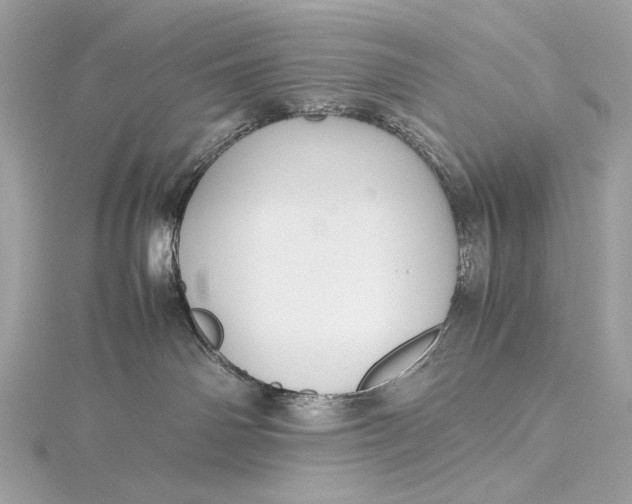 X0000115800142200912041541